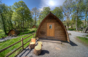 Hotels in Morenish
